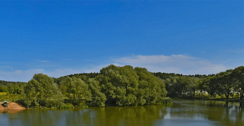 Установка настройка и ремонт спутниковых и эфирных антенн